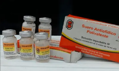 Falsificación de suero antiofídico en Venezuela pone en riesgo la salud públic