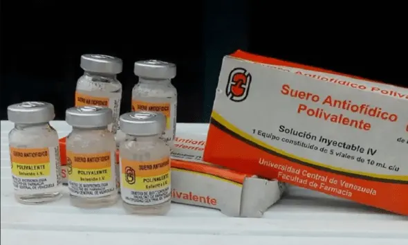 Falsificación de suero antiofídico en Venezuela pone en riesgo la salud públic