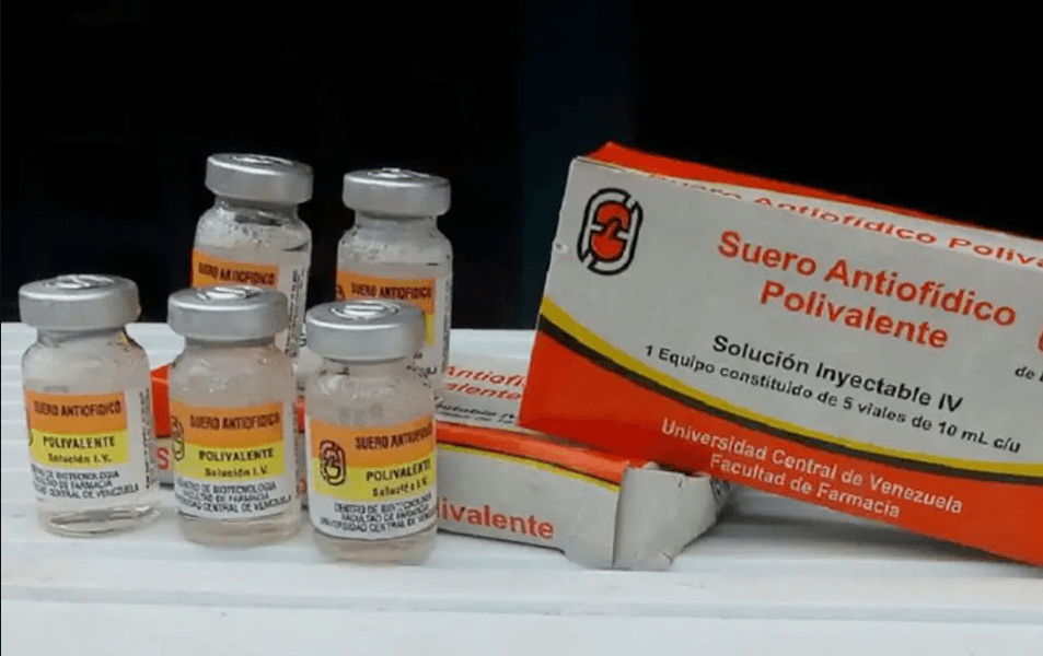 Falsificación de suero antiofídico en Venezuela pone en riesgo la salud públic