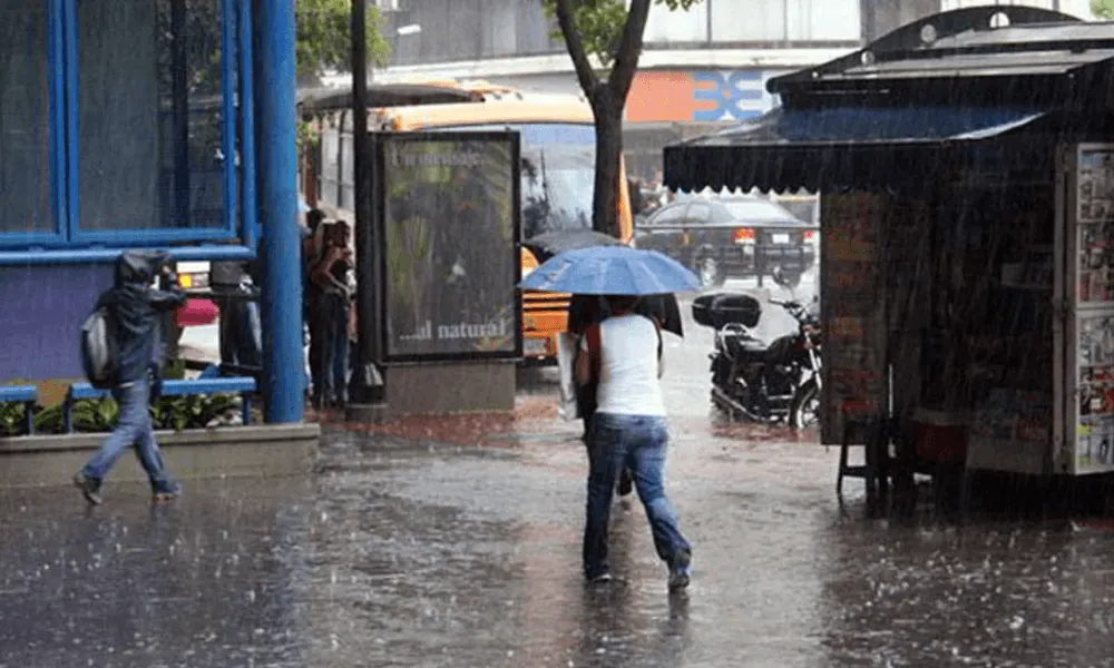 LO ÚLTIMO | Fuertes lluvias en Chacao provocan caída de un árbol en La Castellana