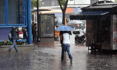 LO ÚLTIMO | Fuertes lluvias en Chacao provocan caída de un árbol en La Castellana