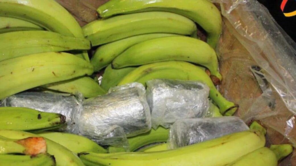 Encuentran drogas entre bananos y plátanos en Colombia